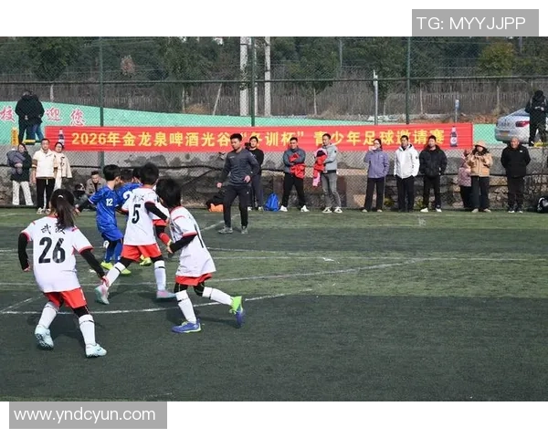 足球西楼的魅力与激情探秘：一场关于梦想与团结的足球盛宴