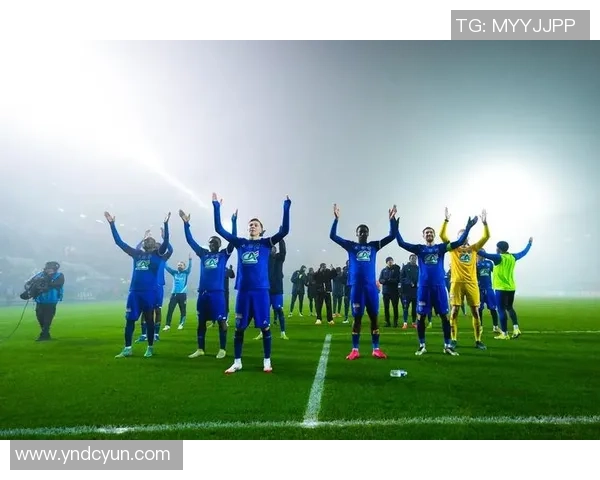 足球致敬:传承激情与团结的精神,谱写绿茵场上的辉煌篇章